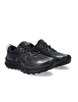 Беговые кроссовки мужские Asics GEL-Trabuco 12 GTX (Black/Graphite Grey)