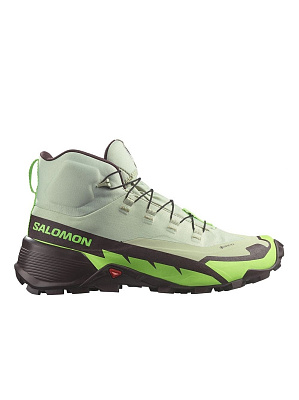 Кроссовки мужские Salomon CROSS HIKE MID GTX 2 (Desert Sage/Green Gecko/Chocolate Plum)