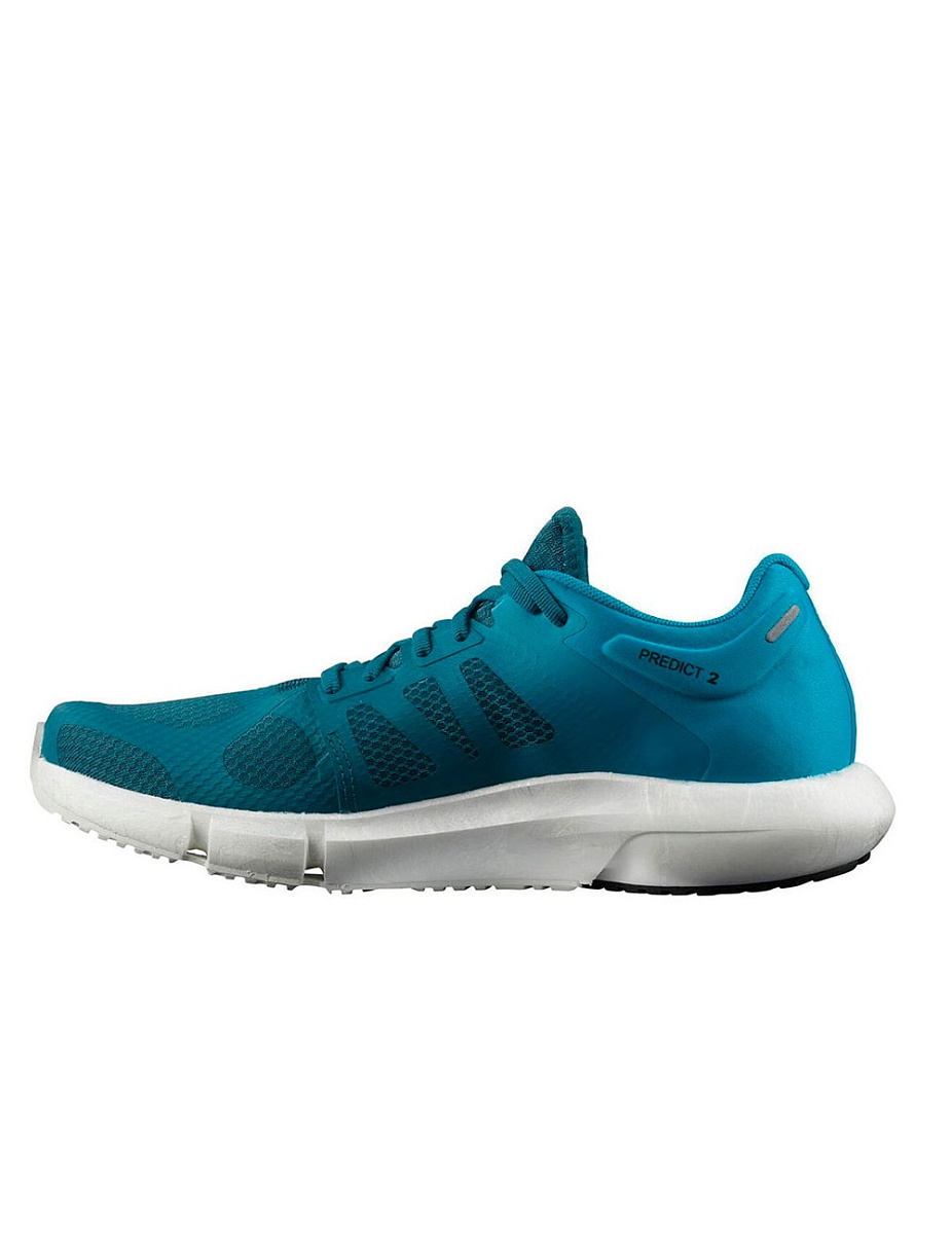 Кроссовки Salomon PREDICT2 Mallard Blue/Reef/Bla 