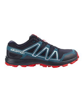 Кроссовки мужские Salomon ALKALIN TRAIL Nisk/Mallard Blu