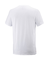 Футболка Salomon WINTER GRAPHIC TEE M Wh/R