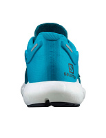 Кроссовки Salomon PREDICT2 Mallard Blue/Reef/Bla 