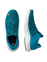 Кроссовки Salomon PREDICT2 Mallard Blue/Reef/Bla 