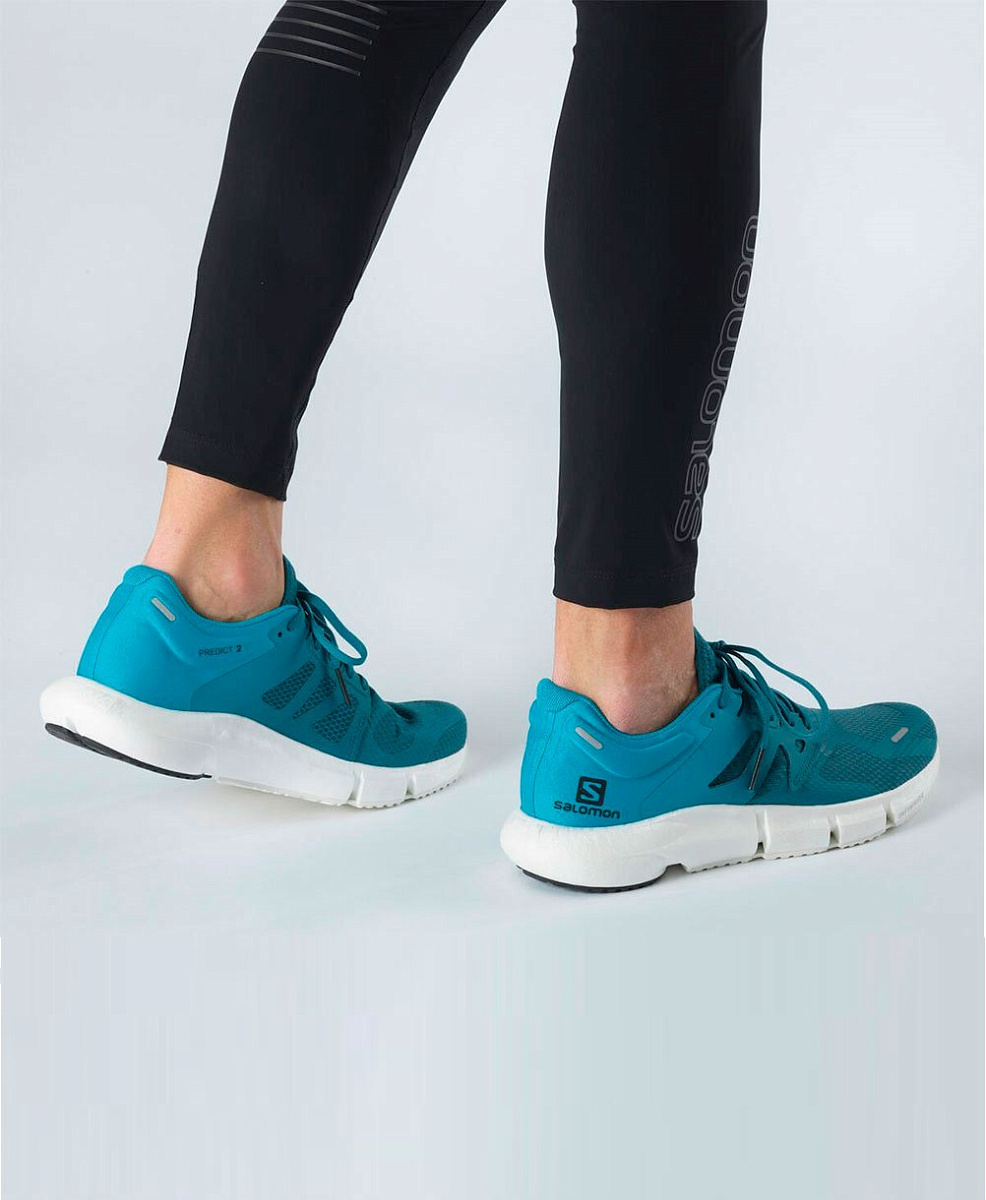 Кроссовки Salomon PREDICT2 Mallard Blue/Reef/Bla 