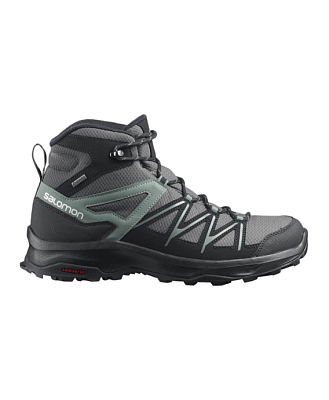 Ботинки мужские Salomon DAINTREE MID GTX Magnet/Black/Gr